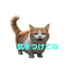 マンチカン J（個別スタンプ：11）