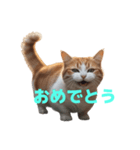 マンチカン J（個別スタンプ：13）