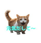 マンチカン J（個別スタンプ：14）