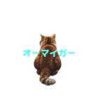 マンチカン J（個別スタンプ：32）