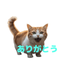 マンチカン J（個別スタンプ：35）