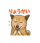 愛するゴン太くん（個別スタンプ：3）