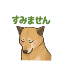 愛するゴン太くん（個別スタンプ：5）