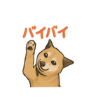 愛するゴン太くん（個別スタンプ：7）