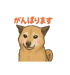 愛するゴン太くん（個別スタンプ：8）