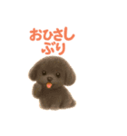 トイプードルの日常32（個別スタンプ：23）