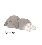フワフワうさちゃんのおしり（個別スタンプ：6）