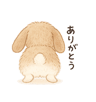 フワフワうさちゃんのおしり（個別スタンプ：20）