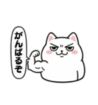 白にゃんこ喜怒哀楽（個別スタンプ：11）
