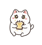 白にゃんこ喜怒哀楽（個別スタンプ：30）