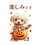 秋！丁寧語・敬語トイプーBIGスタンプ（個別スタンプ：16）