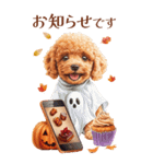 秋！丁寧語・敬語トイプーBIGスタンプ（個別スタンプ：29）