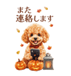 秋！丁寧語・敬語トイプーBIGスタンプ（個別スタンプ：31）