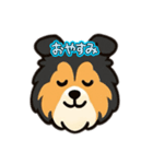 可愛いシェルティのスタンプ（個別スタンプ：6）