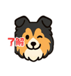 可愛いシェルティのスタンプ（個別スタンプ：8）
