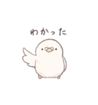 鳩でした（個別スタンプ：1）