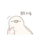 鳩でした（個別スタンプ：3）