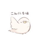 鳩でした（個別スタンプ：4）