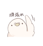 鳩でした（個別スタンプ：5）