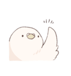 鳩でした（個別スタンプ：14）