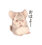 ほっこり手書きのチンチラスタンプ（個別スタンプ：2）