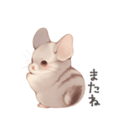 ほっこり手書きのチンチラスタンプ（個別スタンプ：4）