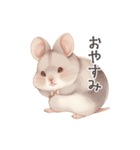 ほっこり手書きのチンチラスタンプ（個別スタンプ：5）