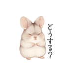 ほっこり手書きのチンチラスタンプ（個別スタンプ：10）