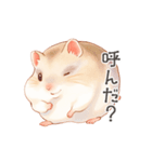 優しいほっこり手書きのハムスタースタンプ（個別スタンプ：7）