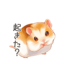 優しいほっこり手書きのハムスタースタンプ（個別スタンプ：9）