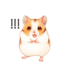 優しいほっこり手書きのハムスタースタンプ（個別スタンプ：12）