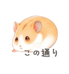 優しいほっこり手書きのハムスタースタンプ（個別スタンプ：15）