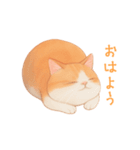 ゆるりとした茶色と白の猫のスタンプ（個別スタンプ：1）