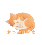 ゆるりとした茶色と白の猫のスタンプ（個別スタンプ：2）