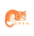 ゆるりとした茶色と白の猫のスタンプ（個別スタンプ：3）