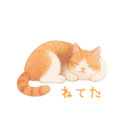 ゆるりとした茶色と白の猫のスタンプ（個別スタンプ：4）