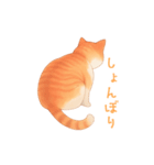 ゆるりとした茶色と白の猫のスタンプ（個別スタンプ：12）