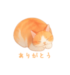 ゆるりとした茶色と白の猫のスタンプ（個別スタンプ：15）
