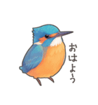 使いやすい☆かわいいカワセミスタンプ（個別スタンプ：2）