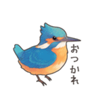 使いやすい☆かわいいカワセミスタンプ（個別スタンプ：3）