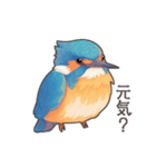 使いやすい☆かわいいカワセミスタンプ（個別スタンプ：4）