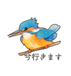 使いやすい☆かわいいカワセミスタンプ（個別スタンプ：6）