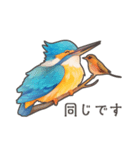 使いやすい☆かわいいカワセミスタンプ（個別スタンプ：7）