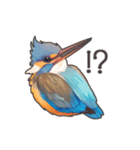 使いやすい☆かわいいカワセミスタンプ（個別スタンプ：15）