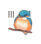 使いやすい☆かわいいカワセミスタンプ（個別スタンプ：16）