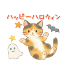 猫がいっぱい♡ふんわり可愛い秋＆冬（個別スタンプ：12）