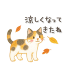 猫がいっぱい♡ふんわり可愛い秋＆冬（個別スタンプ：14）