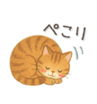 猫がいっぱい♡ふんわり可愛い秋＆冬（個別スタンプ：17）