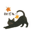 猫がいっぱい♡ふんわり可愛い秋＆冬（個別スタンプ：32）