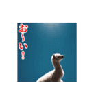 激しく動く！うざいアルパカ！（個別スタンプ：2）